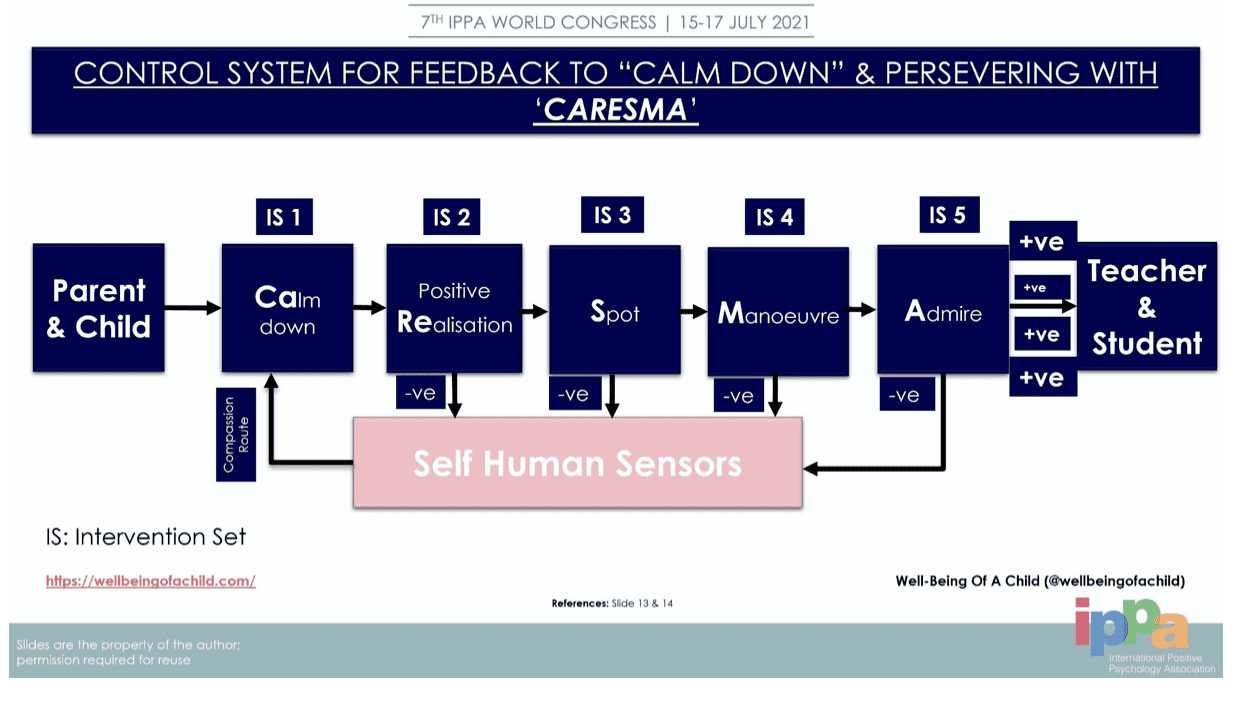 CaReSMA Process Model